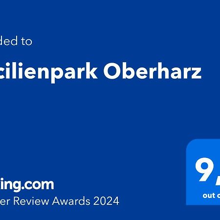 Cecilienpark Oberharz Villa Goslar Exterior photo