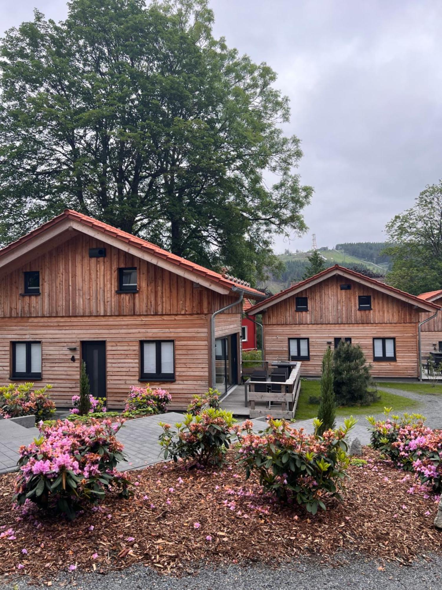 Cecilienpark Oberharz Villa Goslar Exterior photo